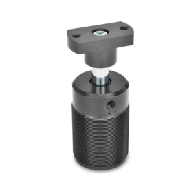 GN 876 Schwenkspanner, mit Einschraubgewinde Form: F - Adapterflansch