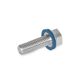 GN 1581 Schrauben, Edelstahl, niedriger Kopf, Hygienic Design Oberfläche: MT - mattiert (Ra < 0,8 µm)<br />Werkstoff (Dichtring): F - FKM