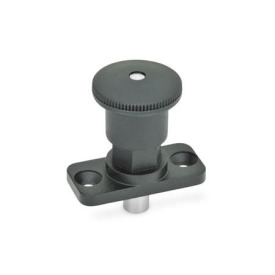 GN 822.8 Miniraster Zink-Druckguss / Kunststoff-Knopf Form: C - mit Rastsperre