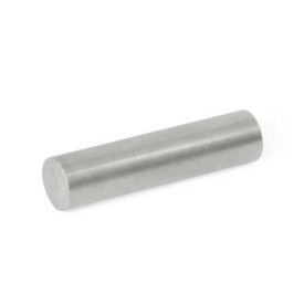 GN 55.3 Rohmagnete, Aluminium, Nickel, Cobalt, Stabform 