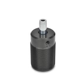 GN 876 Schwenkspanner, mit Einschraubgewinde Form: N - ohne Spannarm