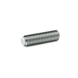 GN 913.5 Gewindestifte mit Messing- / Kunststoff-Zapfen, Edelstahl Werkstoff (Druckzapfen): KU - Kunststoff, Polyacetal (POM)